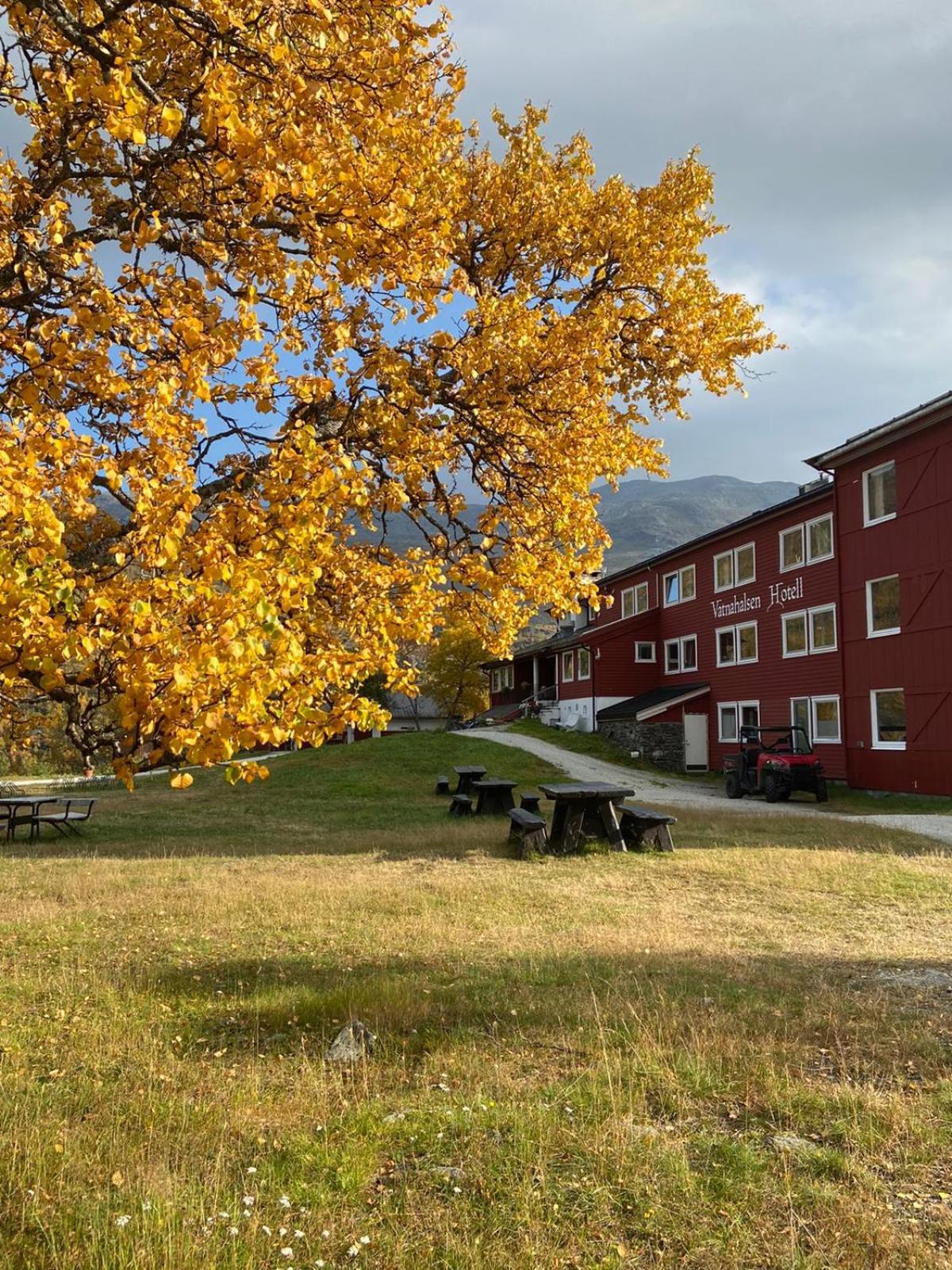 Vatnahalsen Høyfjellshotell, Myrdal, Norway
